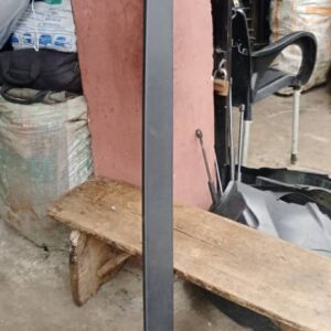 Ford Exterior Door Side Moulding (Body Side Trim)